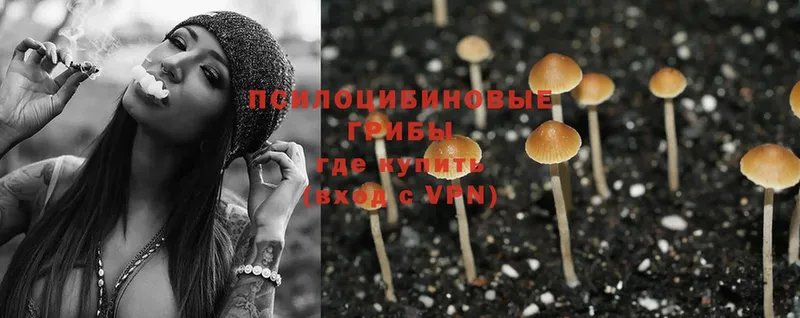 Псилоцибиновые грибы Magic Shrooms Лагань